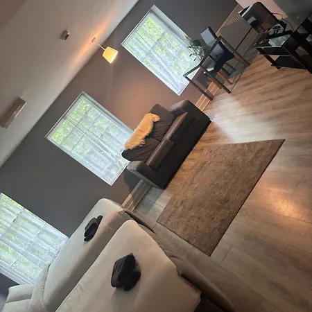 Viking Triangle Apartment Waterford